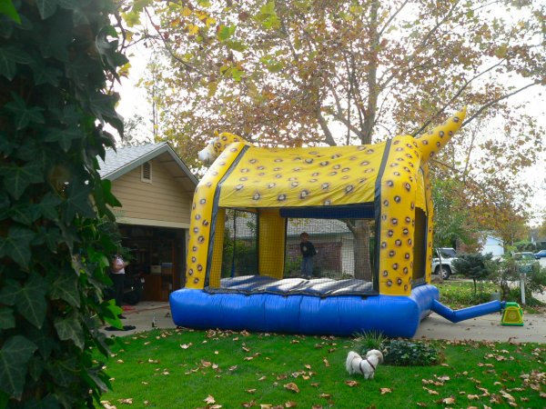 CHEETAHOME.JPG, 92 kB